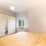 Newly Renovated Sirius アパート